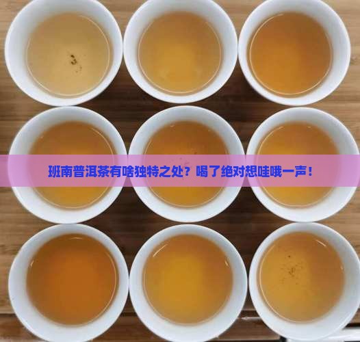 班南普洱茶的特点