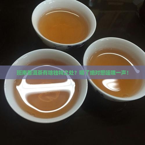 班南普洱茶的特点