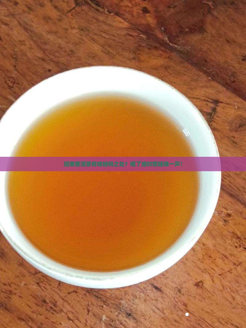 班南普洱茶的特点