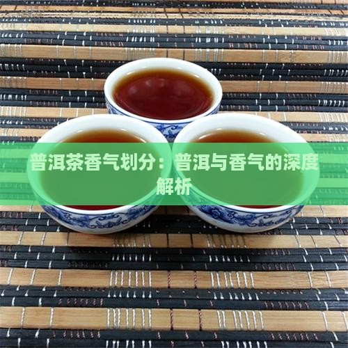 普洱茶香气划分