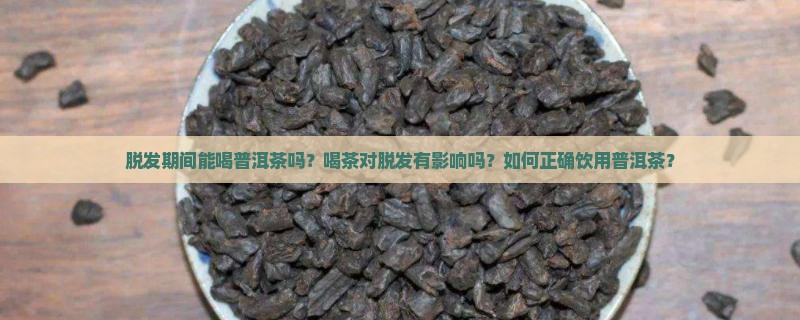 脱发期间能喝普洱茶吗