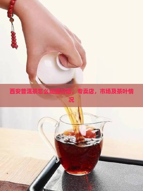 西安普洱茶怎么加盟好店