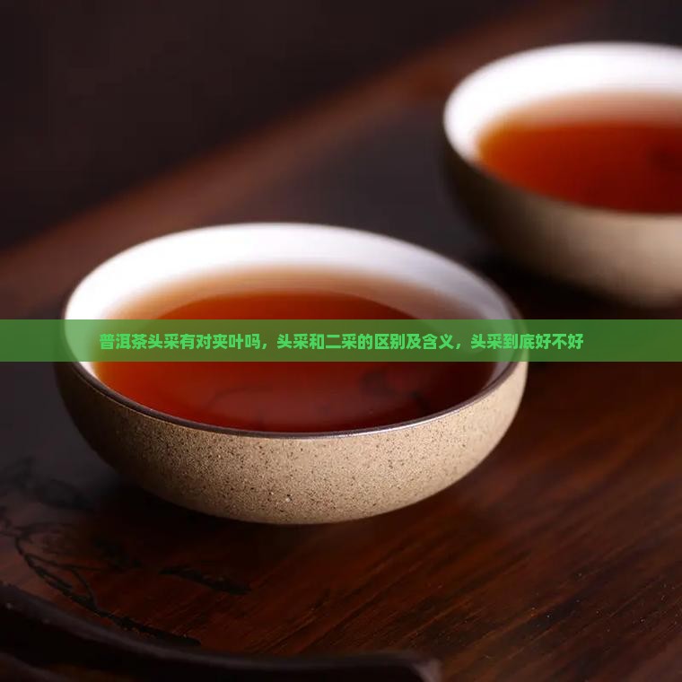 普洱茶头采有对夹叶吗