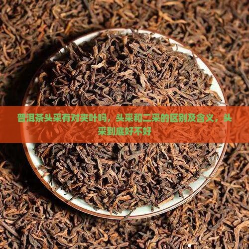 普洱茶头采有对夹叶吗