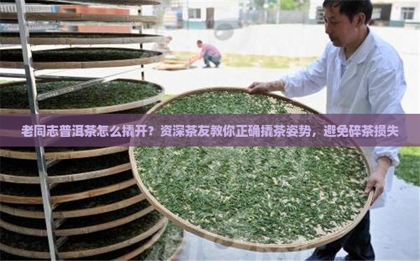 老同志普洱茶如何弄开