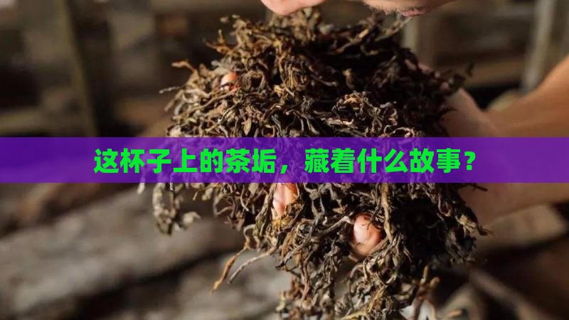 泡茶杯子上的茶垢