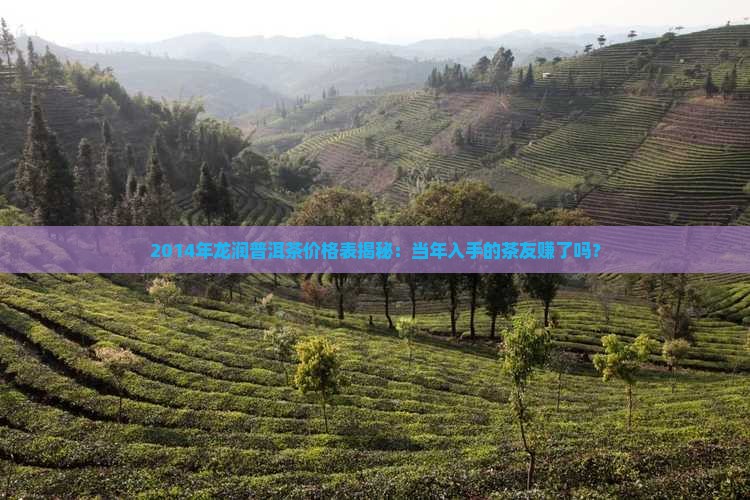 龙润普洱茶2014价格表