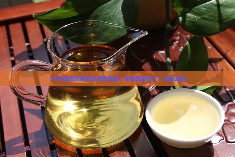 熟普洱茶饼闻起来没味 熟普洱茶饼闻起来没味