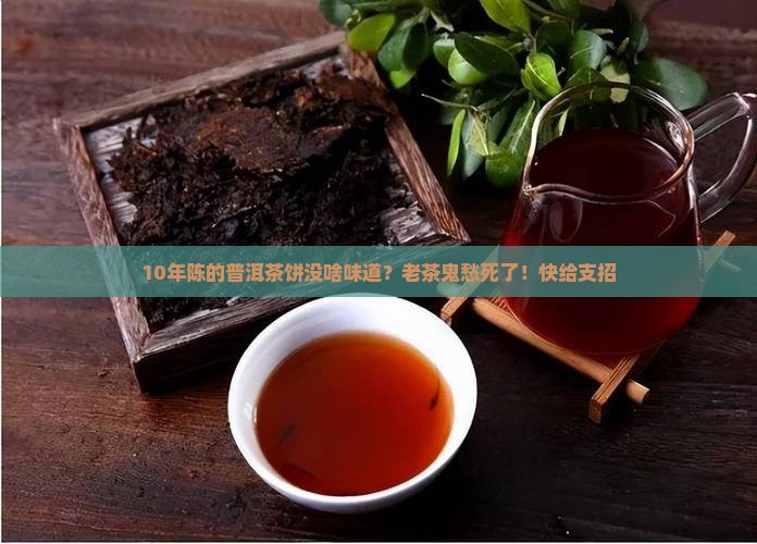 熟普洱茶饼闻起来没味 熟普洱茶饼闻起来没味