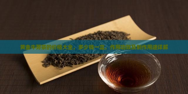 黄金牛蒡茶的价格大全