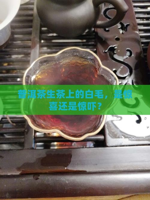 普洱茶生茶长白毛