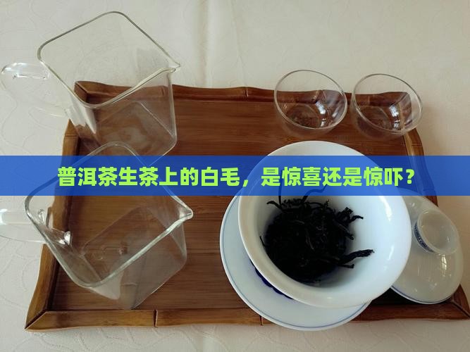 普洱茶生茶长白毛