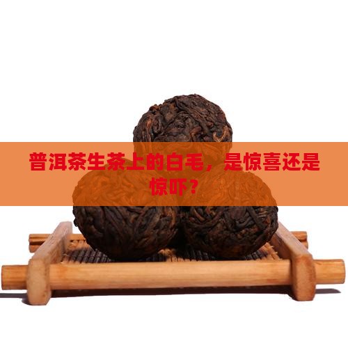 普洱茶生茶长白毛
