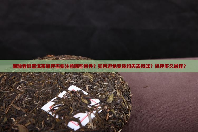 南糯老树普洱茶保存