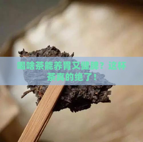 喝什么茶比较养胃健脾