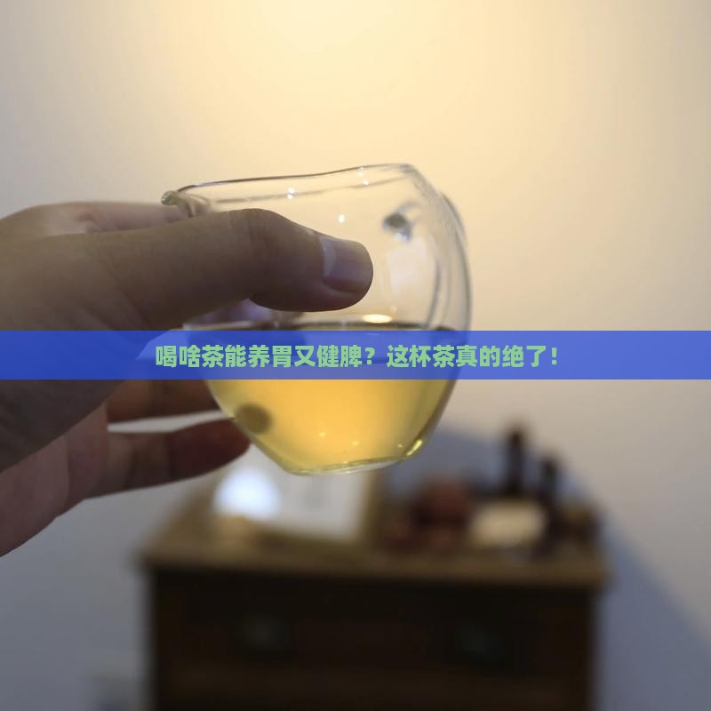 喝什么茶比较养胃健脾