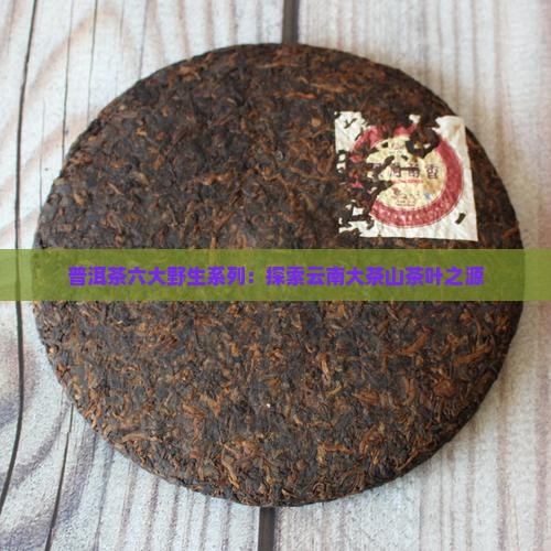 普洱茶六大野生系列