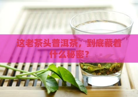 老茶头普洱茶什么意思