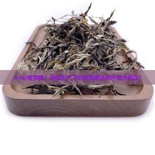 普洱茶潮湿怎么冲泡
