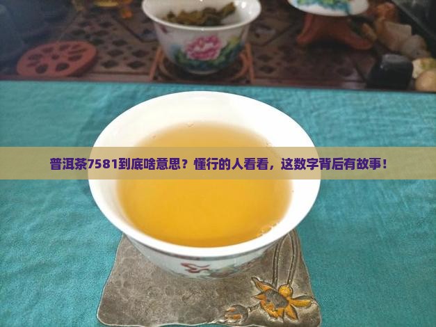 普洱茶7581什么意思