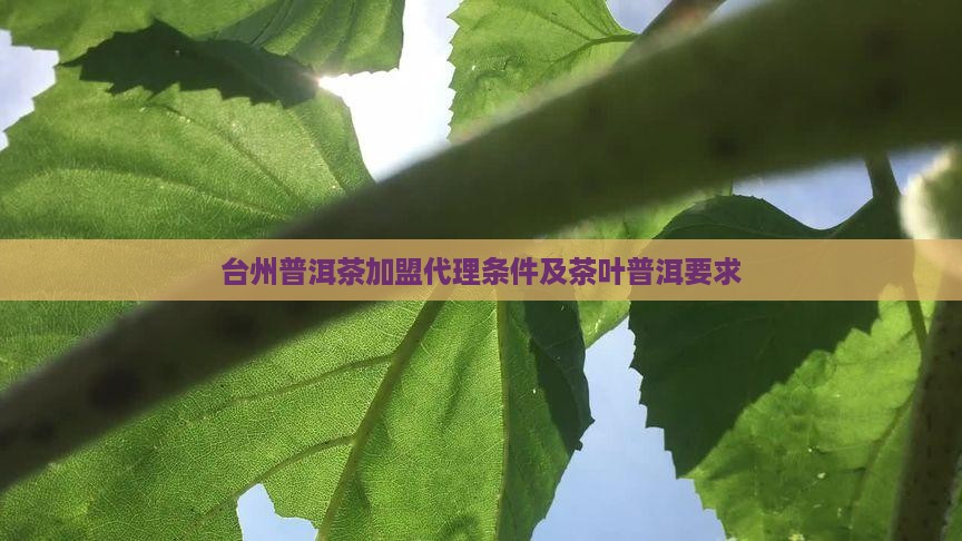 台州普洱茶代理要什么条件