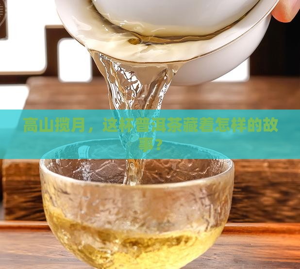 大益高山揽月普洱茶