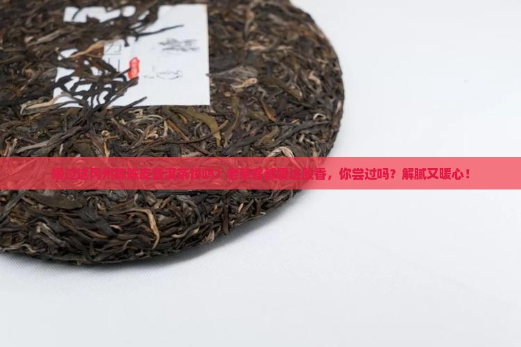 冈州陈陈皮普洱茶饼