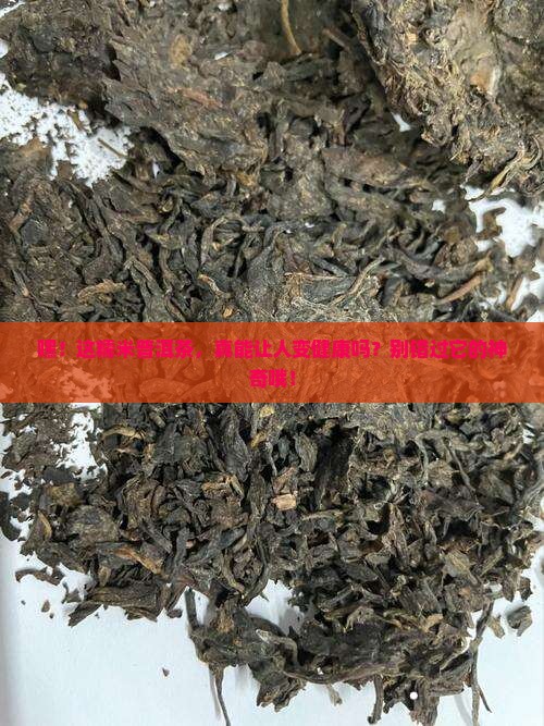 糯米普洱茶的功效作用禁忌