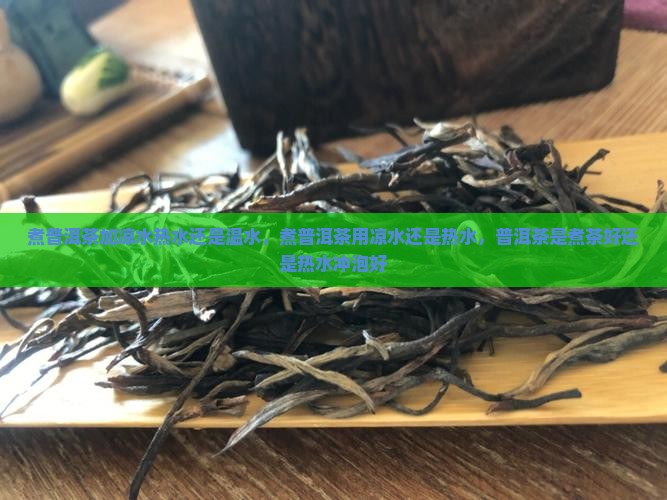 煮普洱茶加凉水热水还是温水