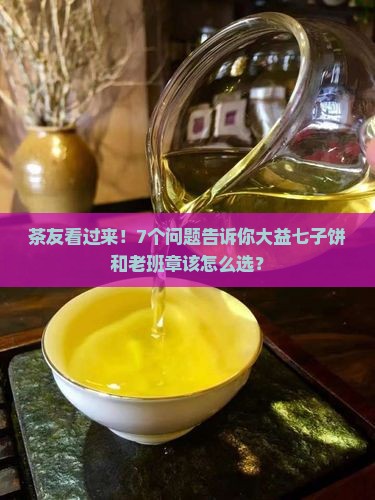 大益七子饼与老班章