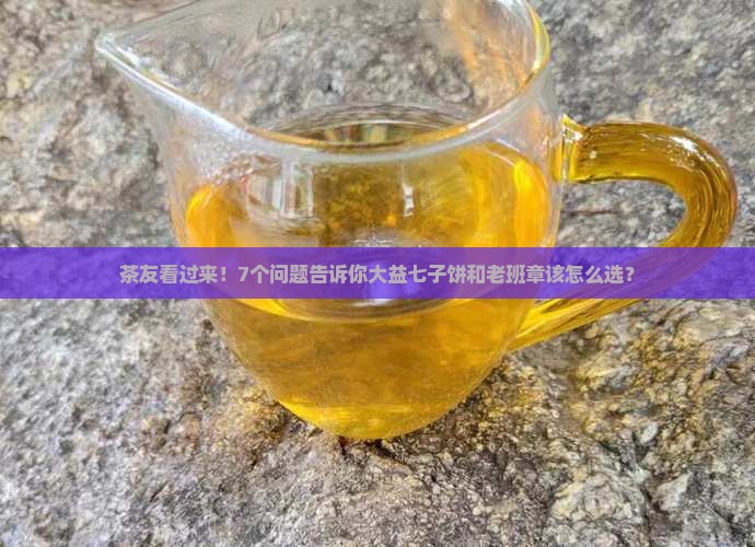 大益七子饼与老班章