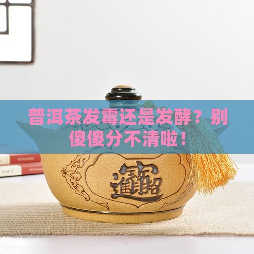 普洱茶发霉和发酵怎么辨别