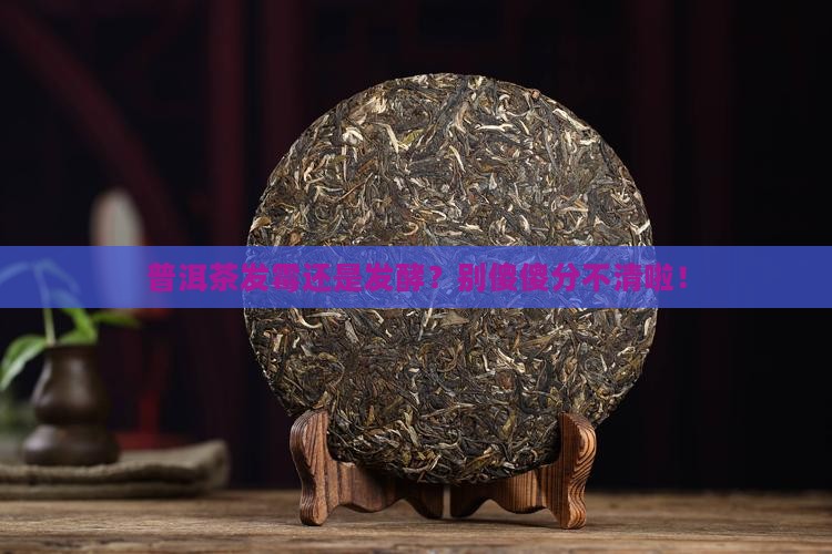 普洱茶发霉和发酵怎么辨别