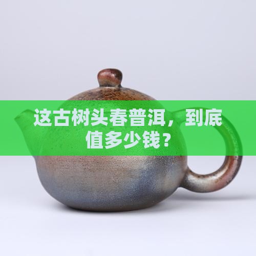 头春古树普洱茶价格