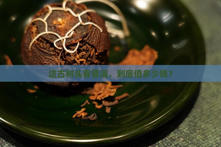 头春古树普洱茶价格