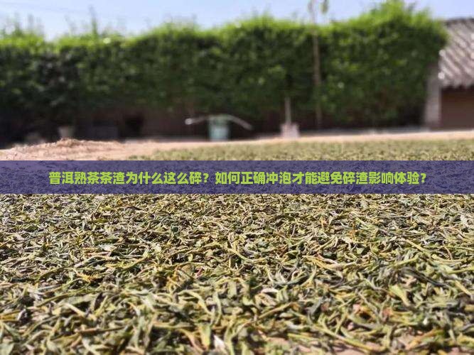 普洱茶熟茶茶渣好碎吗怎么泡