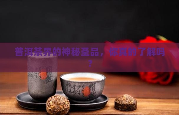 普洱茶历史上的圣品