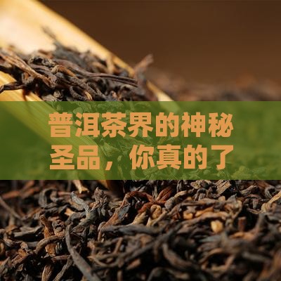 普洱茶历史上的圣品