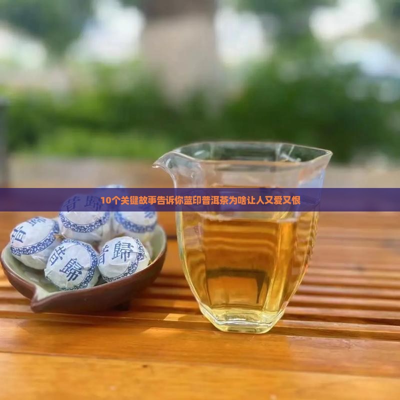 蓝印普洱茶的历史