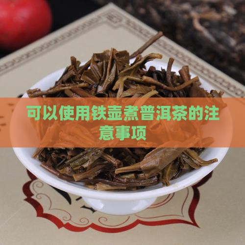 铁壶能煮普洱茶吗