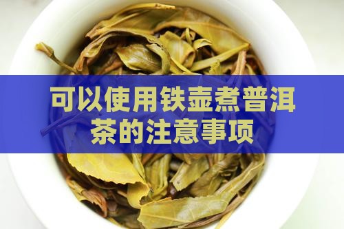 铁壶能煮普洱茶吗