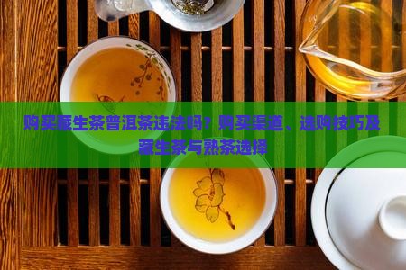购买藏生茶普洱茶
