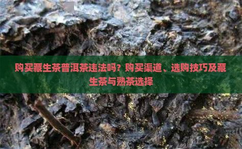 购买藏生茶普洱茶