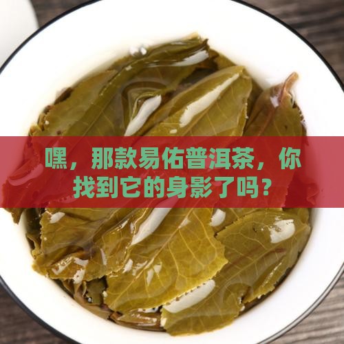 易佑普洱茶在哪里有卖