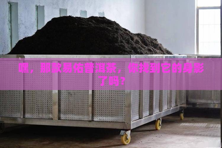 易佑普洱茶在哪里有卖