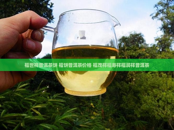 福世祥普洱茶饼