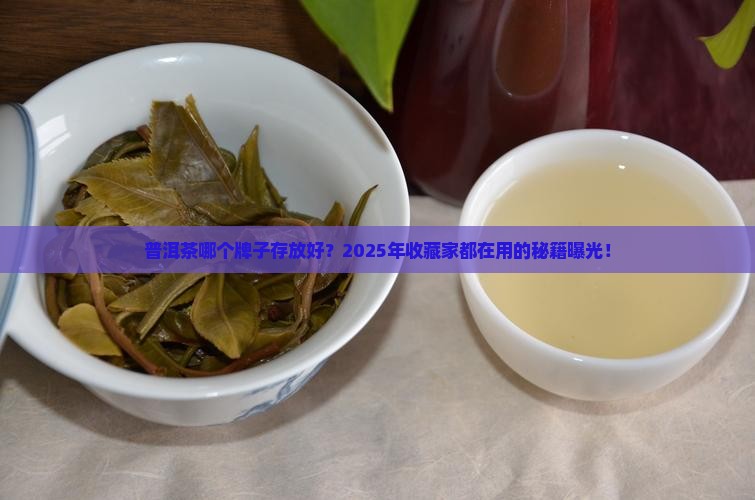 普洱茶哪个牌子存放好