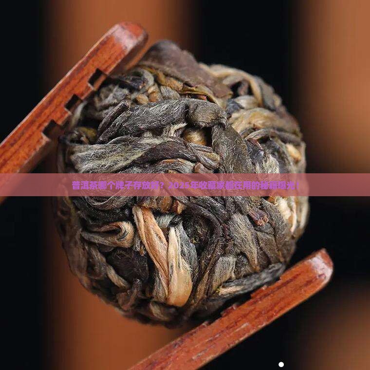 普洱茶哪个牌子存放好