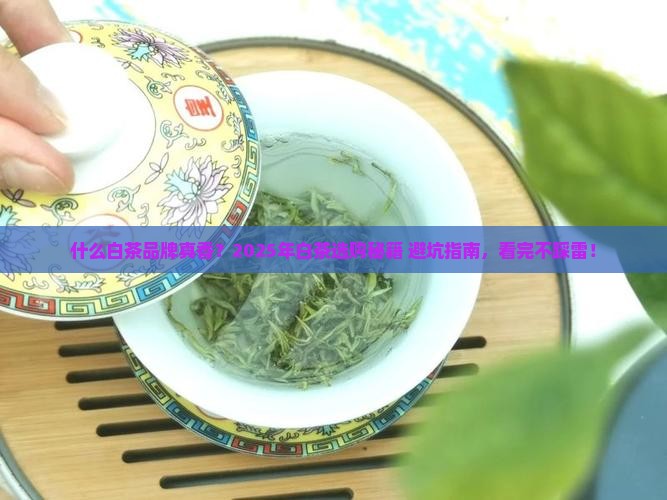 什么品牌的白茶好
