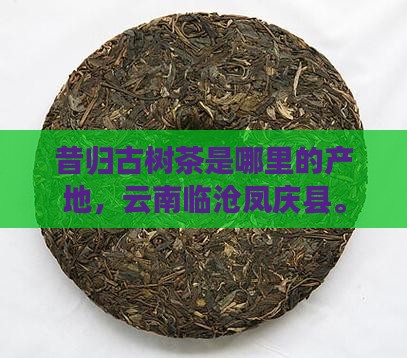昔归古树茶是哪里的产地